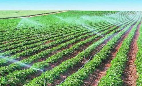 男人和女人日BB视频农田高 效节水灌溉